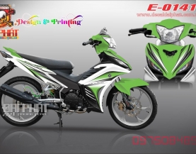 tem roi ex135:0141