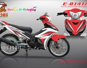 tem roi ex135:0141A