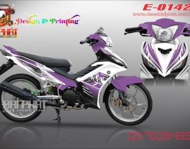 tem roi ex135:0142