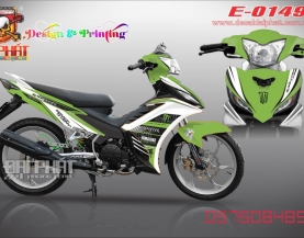 tem roi ex135:0149