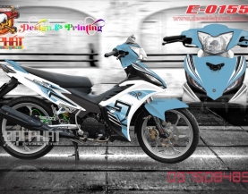 tem roi ex135:0155