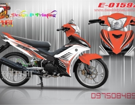 tem roi ex135:0159A