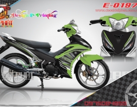 tem roi ex135:0197